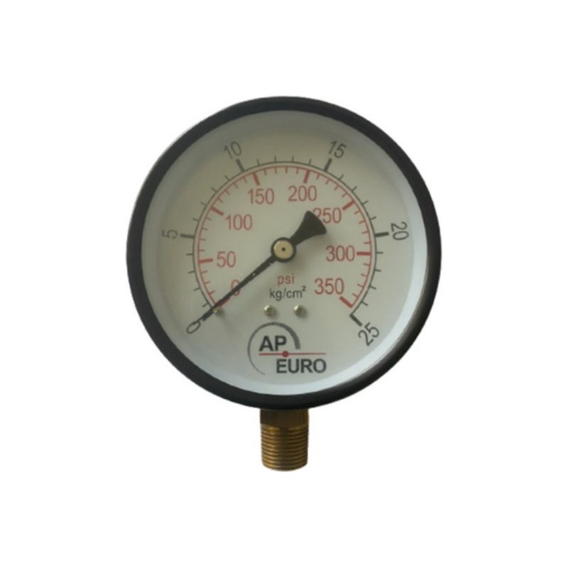 Đồng hồ áp suất vỏ thép AP EURO P100 Đồng hồ áp suất vỏ thép AP EURO P100 – vỏ thép đen, chân đồng