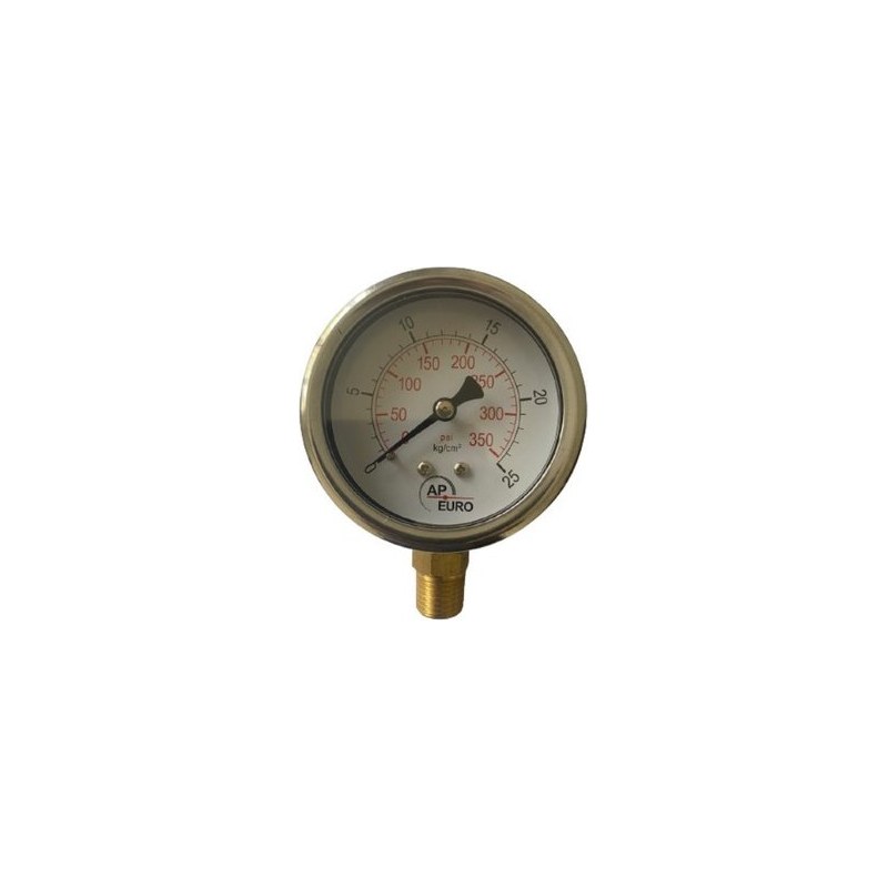 Đồng hồ áp suất inox chân đồng AP EURO P300 Đồng hồ áp suất inox chân đồng AP EURO P300 – vỏ inox, chân đồng