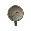 dong_ho_ap_suat_inox_ap_euro_p200.jpg