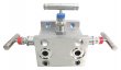 van_manifold_new_flow_md_md3_h_tr1_46.jpg